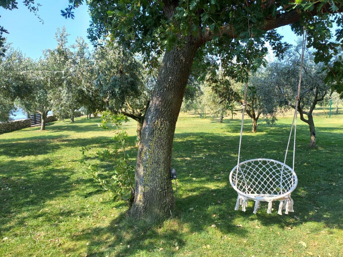 Beach House Ive With Jacuzzi, Pool, Playground And Bbq In An Olive Grove With A Beach, Pomer - Istria エクステリア 写真