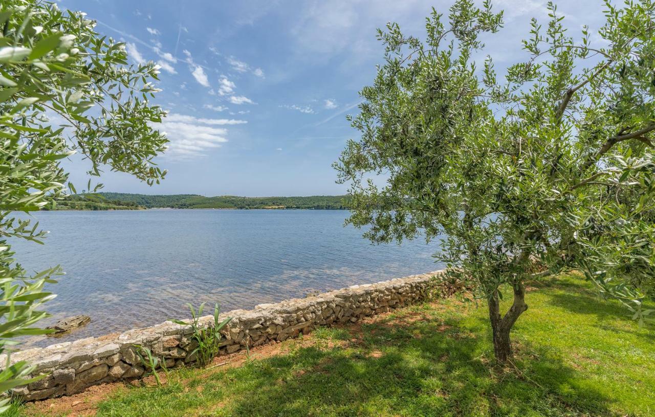 Beach House Ive With Jacuzzi, Pool, Playground And Bbq In An Olive Grove With A Beach, Pomer - Istria エクステリア 写真